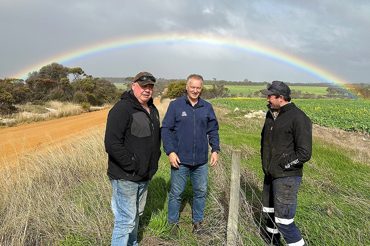 (R-L) Aidinville Farms’ Darren Baum, Pioneer Seeds Territory Manager Kim Mayfield and Aidinville Farms’ Alex Baum reckon there’s every indication the emerging Pioneer PY422G canola on the right will go well this season.