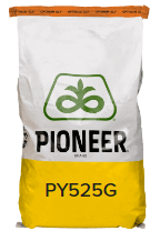 PY525G Bag.png