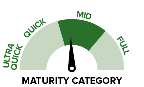 P0937 - Maturity category.png