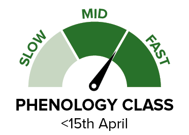 44Y27RR - Phenology class.png