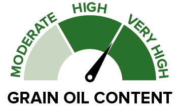 PN526C - Grain oil content.png