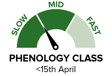 PN526C - Phenology class.png
